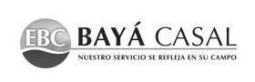 Baya Casal Socio estratégico ADBlick Granos