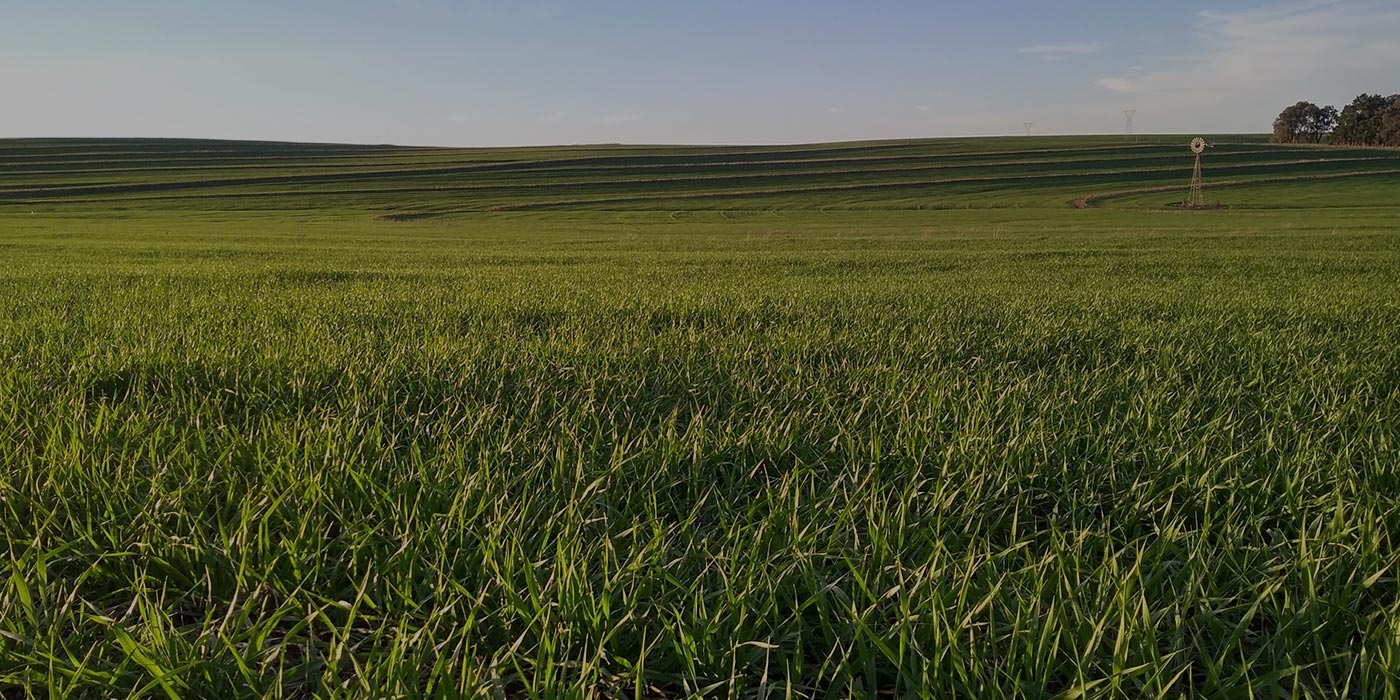 Cómo invertir - ADBlick Agro